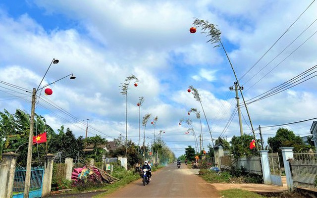 Cao nguyên Đắk Lắk dựng nêu đón Tết