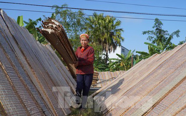 Tất bật ngày đêm làm bánh đa nem vụ Tết, kiếm tiền triệu mỗi ngày