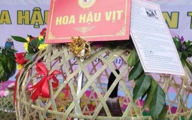 'Hoa hậu vịt' gây sốt ở Lạng Sơn, bán đấu giá 35 triệu đồng