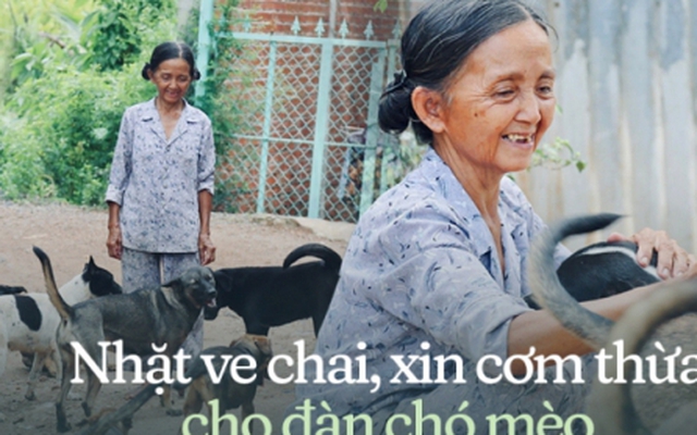 Chuyện bà Tuyết ve chai 26 năm nuôi đàn chó mèo bị bỏ rơi ở TP.HCM: "Đau lòng khi bị trộm bắt đem bán…"