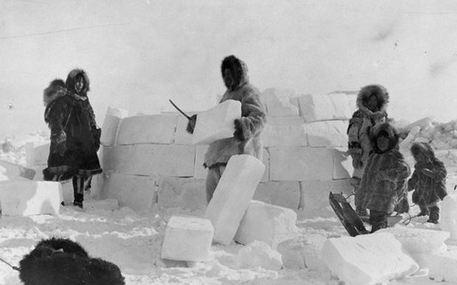 Tại sao người Inuit sống trong lều tuyết ở Bắc Cực?