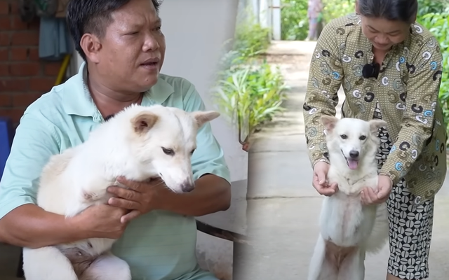 Cứu chú cún kỳ lạ bị bỏ rơi ven đường, 2 năm sau vợ chồng chạy xe ôm bỗng đổi đời