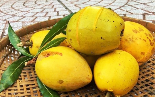 1 loại quả bán trên Amazon 1,5 triệu đồng/kg, ở chợ Việt chỉ vài chục nghìn đồng: Là “thuốc” chống ung thư tự nhiên