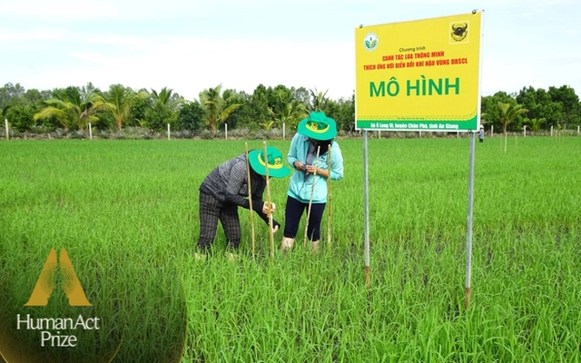 Doanh nghiệp phân bón khuyến cáo nông dân bón ít hơn và câu chuyện phát triển nông nghiệp bền vững vùng Đồng bằng Sông Cửu Long