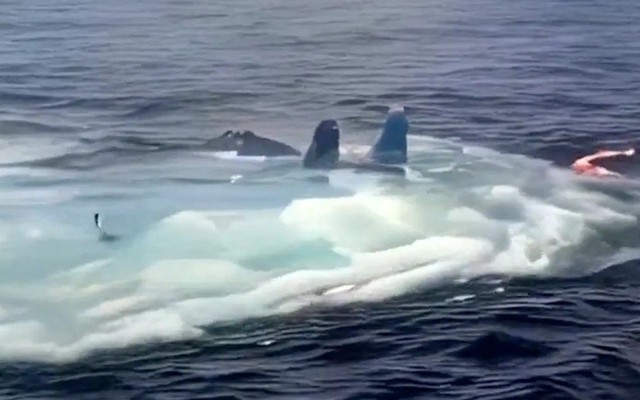 Su-33 nổi trên mặt nước trong video hiếm