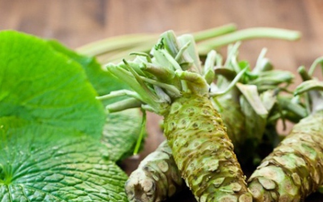 Trồng cây wasabi, nông dân Đà Lạt nhổ củ bán 6 triệu đồng/kg