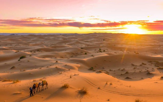 10 sự thật thú vị về sa mạc Sahara