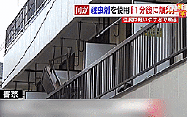 Người đàn ông Nhật Bản làm nổ nhà do diệt gián