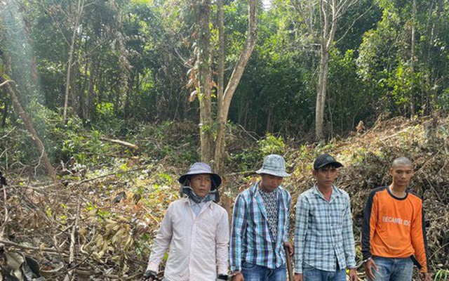 Bắt quả tang 4 người phá hàng trăm mét vuông rừng ở Phú Quốc