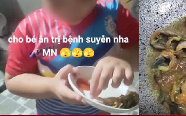 Tranh cãi clip cho trẻ ăn thằn lằn chữa hen trên TikTok, chuyên gia nói gì?