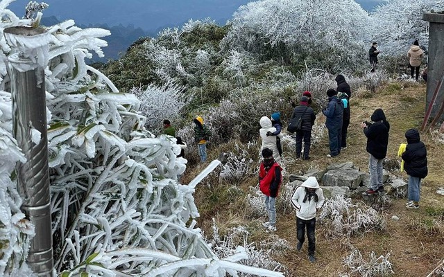 Nơi lạnh nhất Việt Nam hút khách cuối năm: Không phải Fansipan, đến đây thấy băng tuyết là chuyện thường