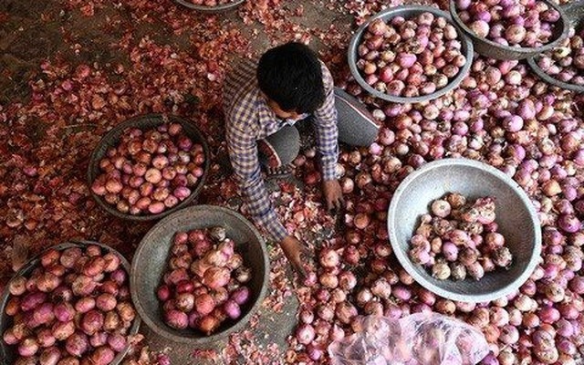 Loại củ bán đầy chợ Việt đang khiến cả châu Á chao đảo: Giá tăng vọt sau lệnh cấm xuất khẩu của Ấn Độ, người buôn than vãn 'chẳng tìm được hàng để bán'