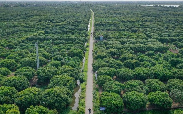 Một huyện thuần nông ở Hải Dương sắp có dự án nhà ở ven sông quy mô gần 950 tỷ đồng