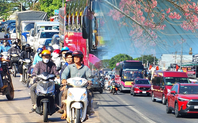 Địa điểm hot nhất lúc này: Đường lên Đà Lạt đông nghịt đúng thời điểm hoa mai anh đào nở rực rỡ