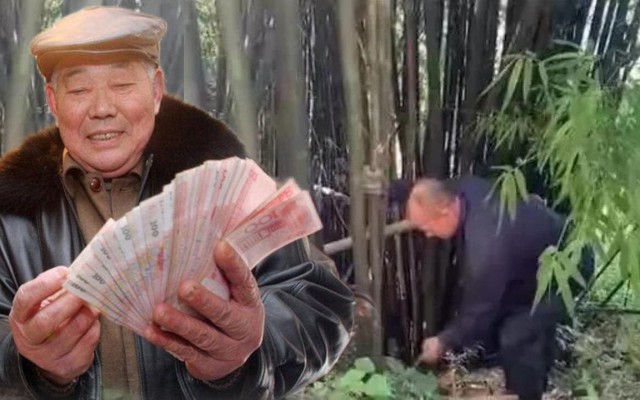 Vào rừng hái măng, người đàn ông "nhặt" được túi tiền hơn 24 tỷ đồng, cảnh sát Nhật Bản lập tức vào cuộc điều tra: Danh tính chủ nhân số tiền gây bất ngờ