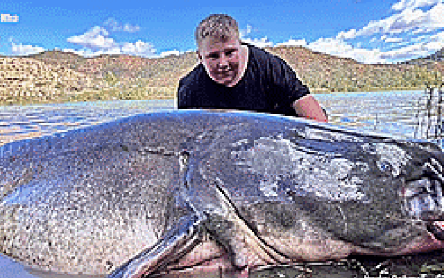 Cậu bé 11 tuổi "chiến đấu" suốt 25 phút với con cá trê khổng lồ