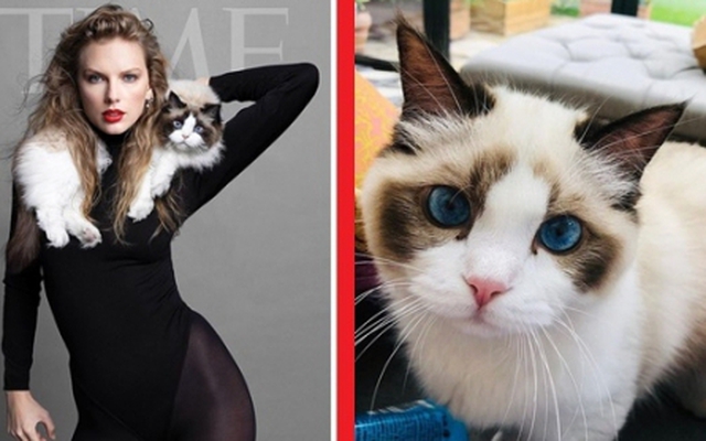 Mèo cưng mắt xanh "quý hơn vàng" của Taylor Swift mới xuất hiện sang trọng trên bìa tạp chí cùng chủ nhân, có giá trị ước tính 2.400 tỷ VNĐ