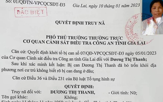 Bắt cụ bà 73 tuổi vay 14 tỉ đồng rồi bỏ trốn