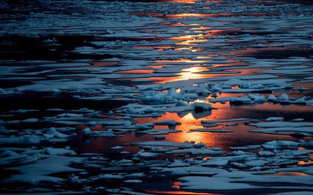 Băng biển Bắc Cực đang mỏng đi và dễ bị tổn thương hơn