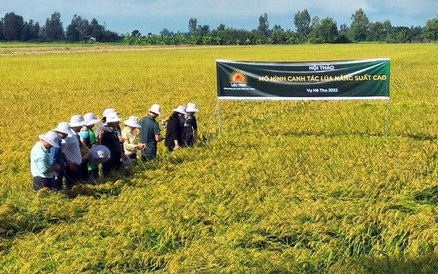 Tập đoàn nông sản của Việt Nam đặt mục tiêu 1 tỷ USD doanh thu vào năm 2024