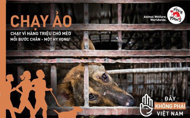 Phát động giải chạy trực tuyến nhằm chấm dứt tình trạng buôn bán thịt chó, mèo