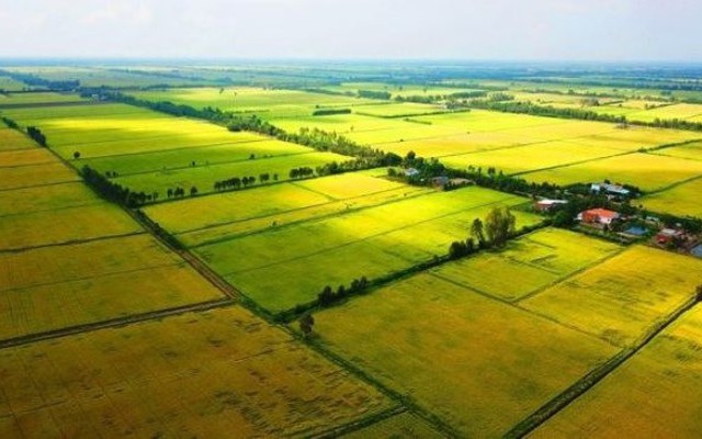 Chuyên gia: “Đầu tư đất nông nghiệp có thể nhân giá 200-500 lần trong 10 năm”