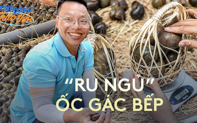 Doanh thu hàng trăm triệu/tháng nhờ tìm ra cách "ru ngủ” các chú ốc lác gác bếp nổi tiếng miền Tây