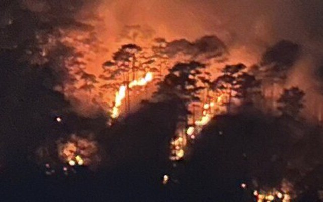 Lâm Đồng: Đã khống chế đám cháy rừng phòng hộ trên đèo Prenn