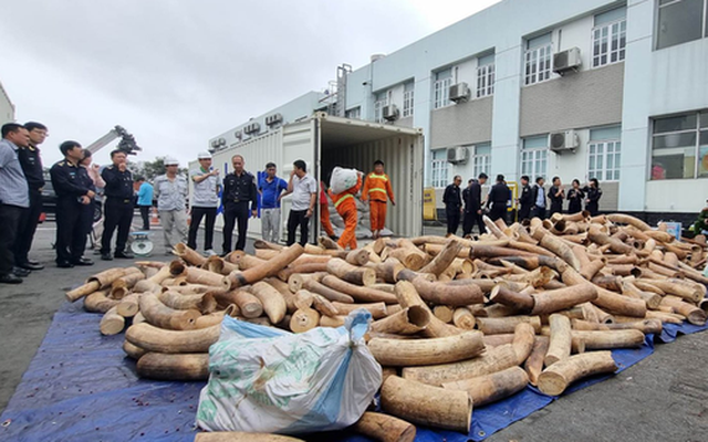 Phó Thủ tướng Trần Lưu Quang gửi thư khen vụ bắt hơn 7 tấn ngà voi tại Hải Phòng