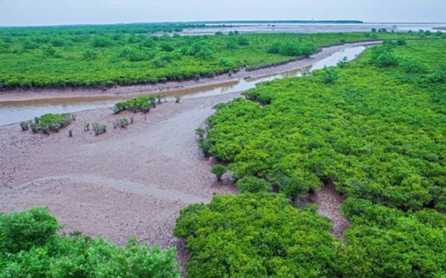 Vụ học sinh Hà Nội tử vong trong chuyến trải nghiệm bắt ngao: Khi đoàn đến, không báo cáo chính quyền