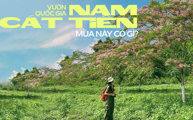 Vườn quốc gia Nam Cát Tiên đang xuất hiện cảnh quan gì mà người TP.HCM kéo nhau xuống Đồng Nai cho bằng được?