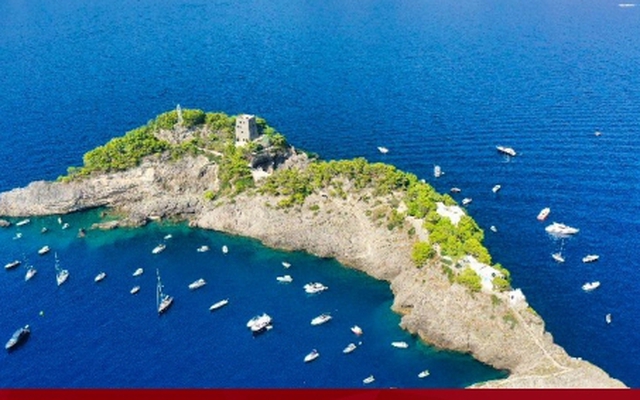 Cận cảnh đảo cá heo độc nhất thế giới, mỗi lần chỉ đón 12 du khách ghé thăm