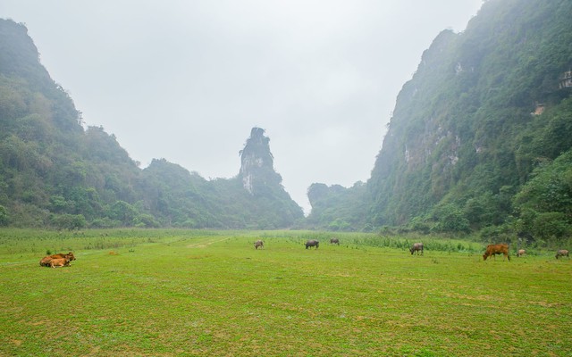 Điểm dã ngoại hoang sơ gần Hà Nội đang được nhiều gia đình tìm đến để "đổi gió" gần gũi thiên nhiên