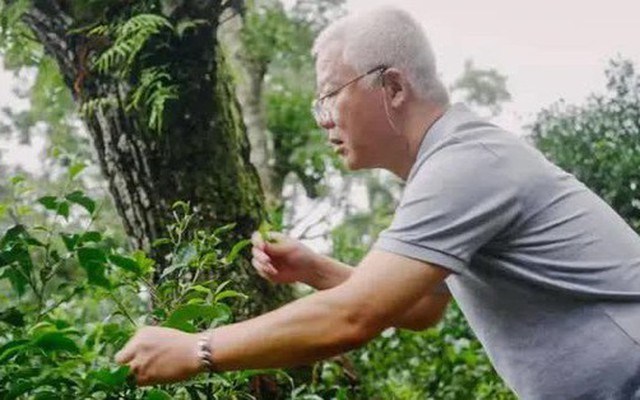 Cụ ông ẩn cư trong rừng sâu 20 năm, mang tiếng "khùng" để làm nên thứ đặc sản có giá hàng tỷ đồng