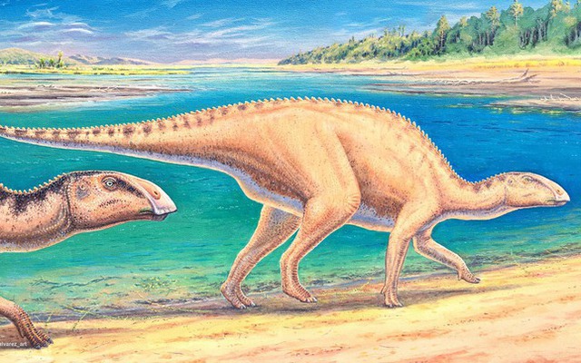 Phát hiện dấu tích loài khủng long mỏ vịt tại Chile
