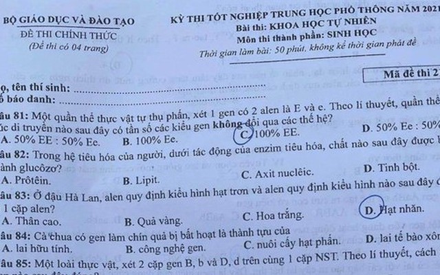 Vụ lộ đề tốt nghiệp THPT: Tổ trưởng, tổ phó ngân hàng câu hỏi 'ôn tủ' cho người thân quen