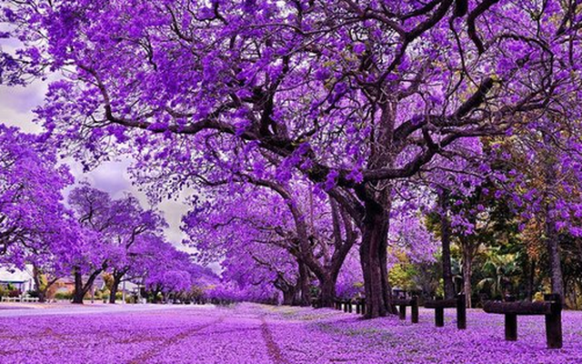 Bất ngờ cổ phiếu vừa tăng bốc đầu sau thông tin trúng gói thầu sân bay Long Thành: Sở hữu đất vàng trung tâm Hà Nội, nợ phải trả gấp 5 lần vốn chủ sở hữu