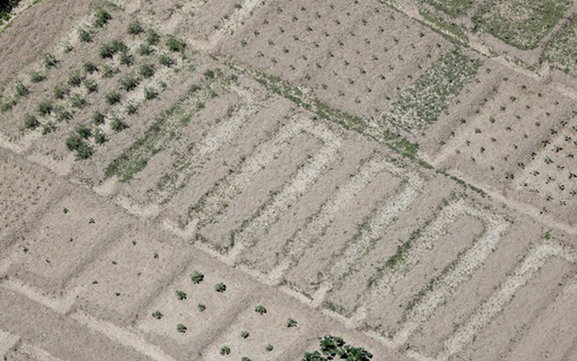 Châu Âu đối diện mùa hè thiếu nước