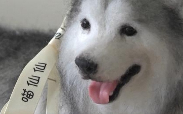 Nghề làm thú cưng mô phỏng như thật “hot” ở Trung Quốc