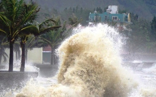 Chủ động ứng phó áp thấp nhiệt đới tránh thiệt hại nghiêm trọng về người