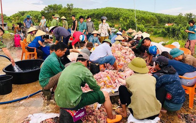 Chập điện giữa trưa nắng 40 độ, đàn gà 8.000 con bị chết ngạt