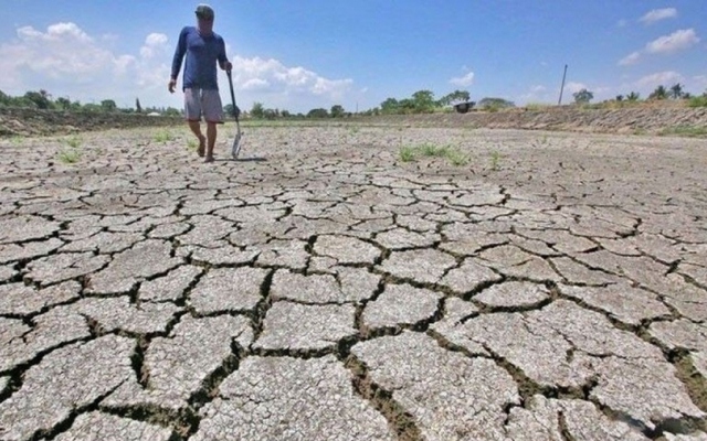 Đối phó El Nino, Indonesia thu mua dự trữ 750.000 tấn gạo