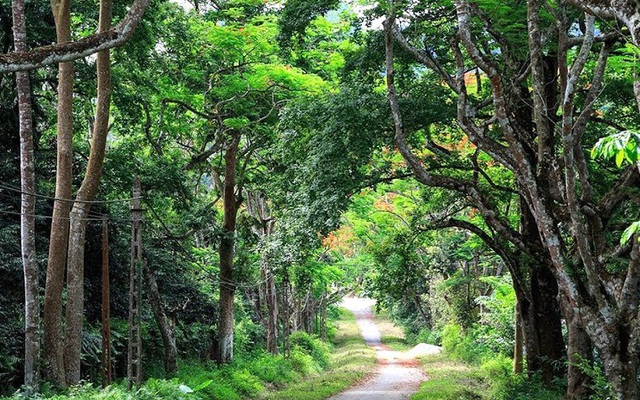 Một Vườn quốc gia Việt Nam vừa đạt giải "hàng đầu châu Á", là năm thứ 5 liên tiếp được vinh danh