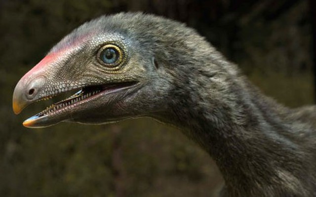 Brazil: Lộ diện sinh vật lạ đuôi khủng long, tay khỉ, đầu chim ăn thịt