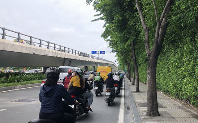 Hàng cây trên đường vào sân bay Tân Sơn Nhất bị "bức tử"