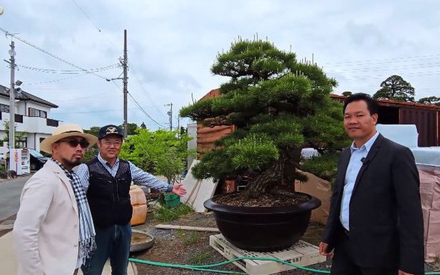 Thăm chủ nhân 15 vườn Nhật sở hữu loạt “bảo vật” quý giá nhất thế giới, rưng rưng thấy một thứ rất Việt Nam