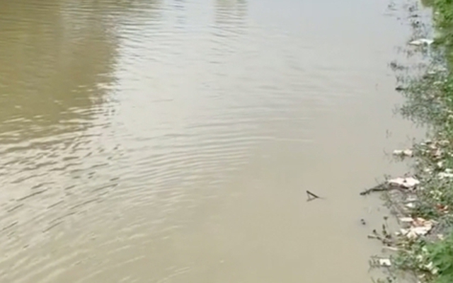 Tìm kiếm nữ công nhân rơi xuống sông mất tích ở Hà Nội