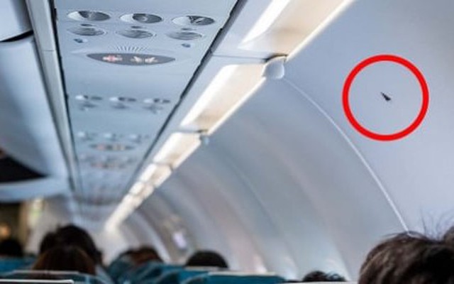 Ký hiệu tam giác nhỏ trên máy bay có ý nghĩa gì?