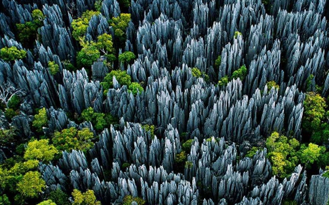 Chiêm ngưỡng rừng đá như một thảm chông khổng lồ, hiểm trở bậc nhất thế giới