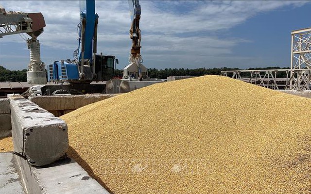 Bulgaria dỡ bỏ lệnh cấm nhập khẩu ngũ cốc của Ukraine